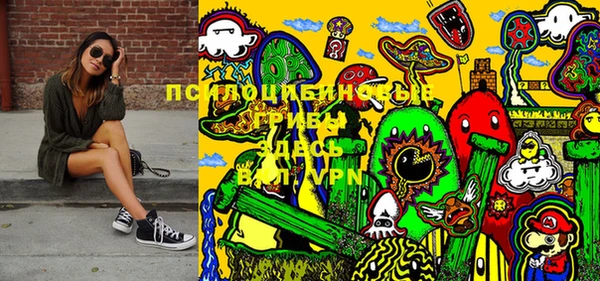 стафф Струнино