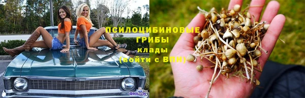 стафф Струнино