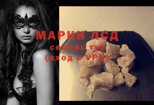 стафф Струнино