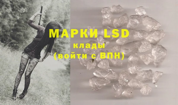 стафф Струнино