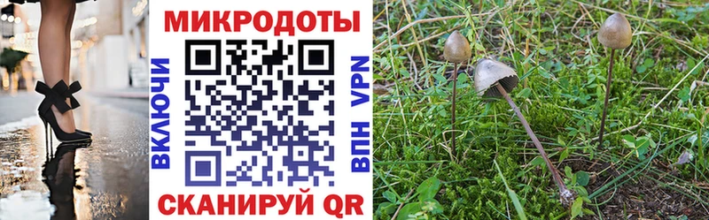 закладка  Урай  Галлюциногенные грибы ЛСД 