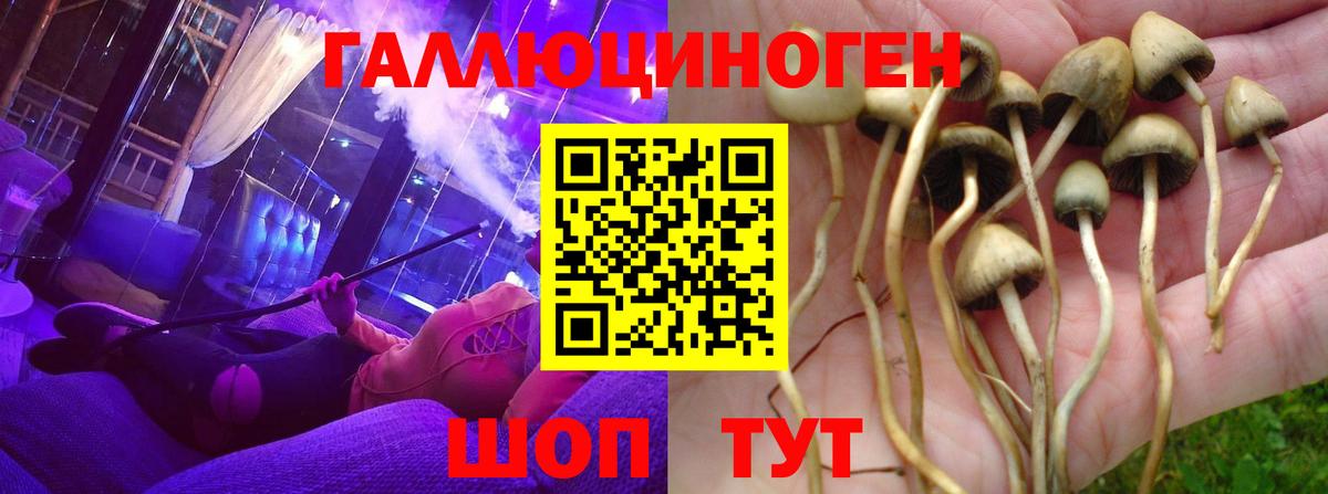 Галлюциногенные грибы мицелий  Галлюциногенные грибы прущие грибы  Вход с VPN  купить наркотик  Урай 
